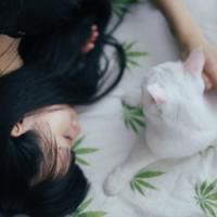 Zgcteiwrsmh的厨房