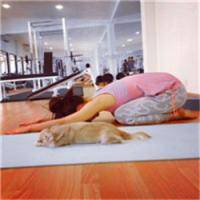 DustinSettl的厨房