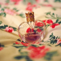 wcyzbqbcivbb的厨房