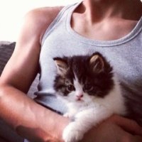 RenaAlvarez的厨房