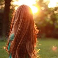 Gustavo7084的厨房