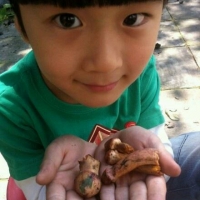 星海飞沙的厨房