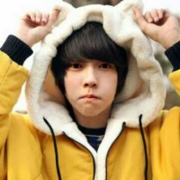 密林森蚺的厨房