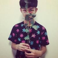 翡翠彩虹的厨房