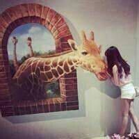 Aimeegyftjn的厨房