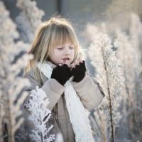 Seymour2155的厨房