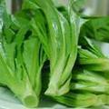 油麦菜怎么做好吃