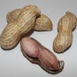 花生怎么做好吃