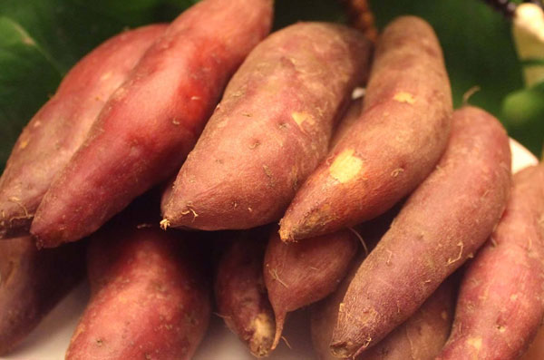 煮熟的红薯能放几天,煮熟的红薯放三天还能吃吗