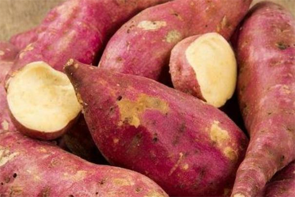 红薯出芽了还能吃吗,红薯坏了切掉还能吃吗