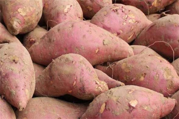 豆浆可以跟红薯同食吗,豆浆怎么和红薯一起吃