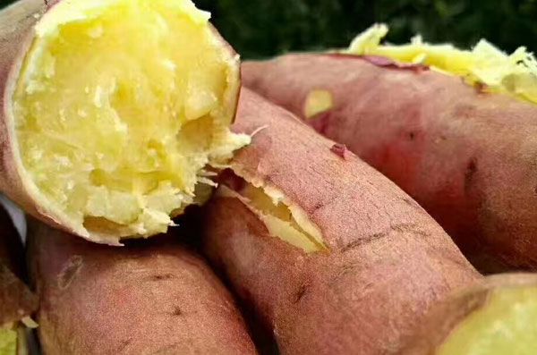 红薯和花生可以一起吃吗，红薯加花生怎样做好吃