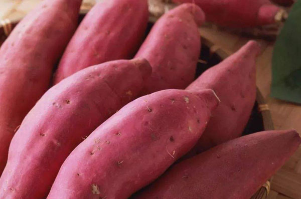 红薯什么颜色好吃,红薯晒太阳晒多久最好