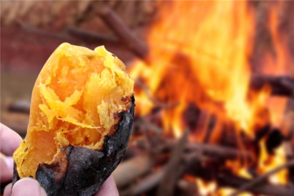 烤红薯含糖量高吗,烤红薯糖尿病人能吃吗