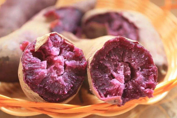 紫薯发芽了还能吃吗,紫薯发芽了怎么处理