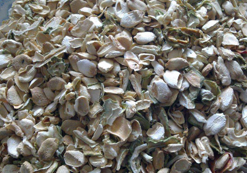 苦瓜籽变红了还能吃吗,吃苦瓜籽会中毒吗