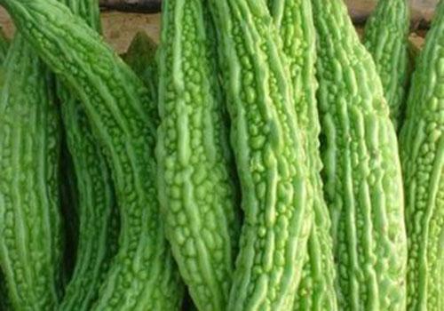 海带能和苦瓜一起吃吗,海带和苦瓜一起有什么好处