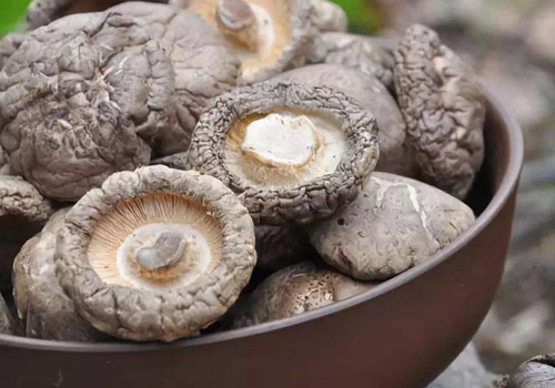 如何判断香菇变质,香菇常温还是冷藏