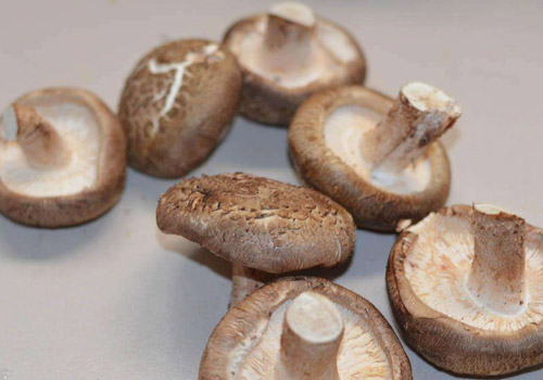 香菇能放冰箱里储存吗,香菇放在冰箱保存多久