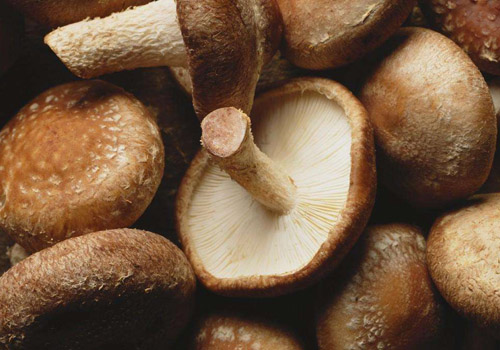 香菇为什么不能用冷水泡,香菇可以用开水泡吗