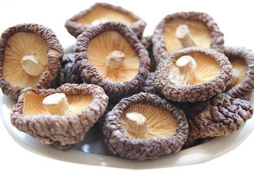 香菇发霉还能吃吗,如何防止鲜香菇发霉
