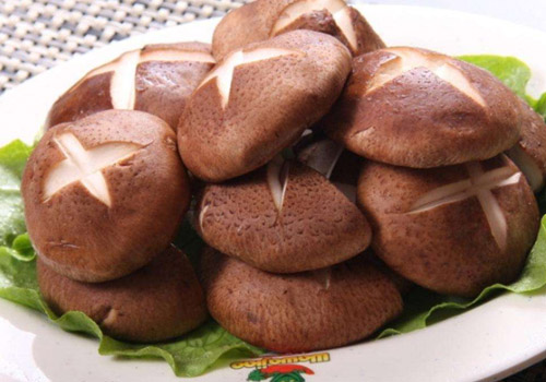 香菇和韭菜能一起吃吗,香菇和韭菜一起吃好吗