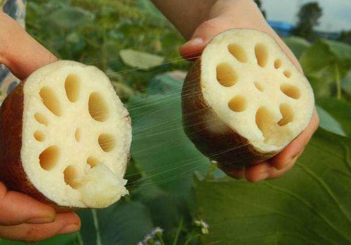 吃莲藕要不要削皮,莲藕怎么削皮不变色