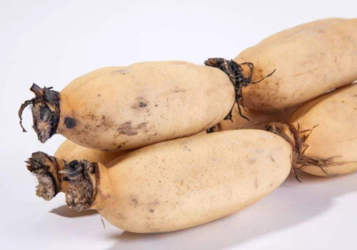 吃莲藕的好处有哪些,莲藕适合和什么食物搭配