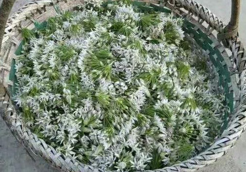 韭菜花的3种家常腌制方法