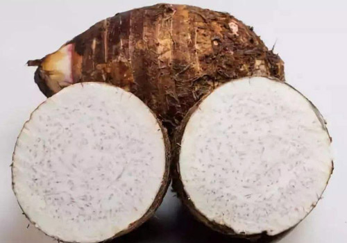 荔浦芋头怎么保存的久,荔浦芋头如何保存