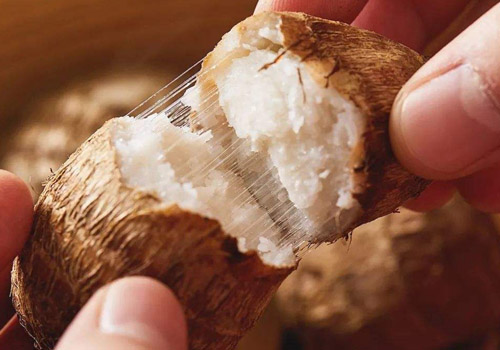 芋头和牛奶可以一起吃吗,芋头和牛奶一起吃会怎样