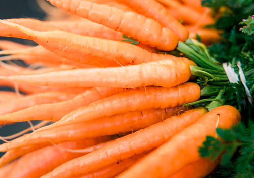 水果胡萝卜是直接吃吗,水果胡萝卜怎么吃有营养