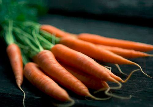 胡萝卜和红萝卜的区别,红萝卜和胡萝卜哪个好