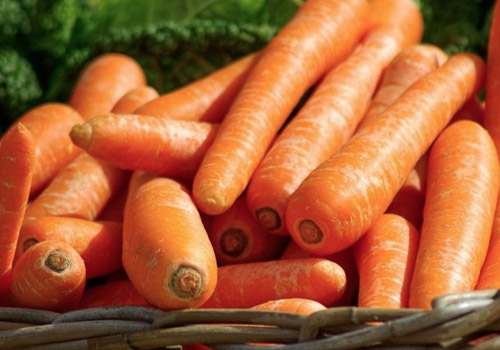 吃西洋参可以吃胡萝卜吗,西洋参胡萝卜怎样一起吃