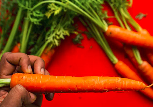 胡萝卜和鸡蛋能一起吃吗,胡萝卜和鸡蛋要怎么一起吃