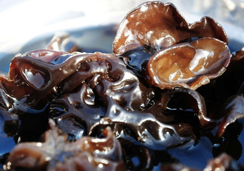 木耳颜色越黑越好吗,怎么挑选好的木耳