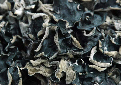 蕨菜能和木耳一起吃吗,蕨菜炒木耳怎么做