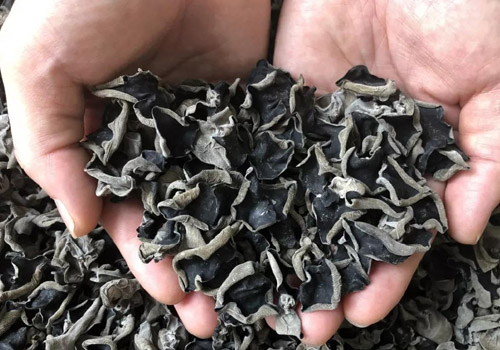 木耳泡完是什么颜色的,掉色的木耳还能吃吗