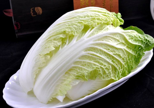 白菜可以放多久,白菜放冰箱还是常温