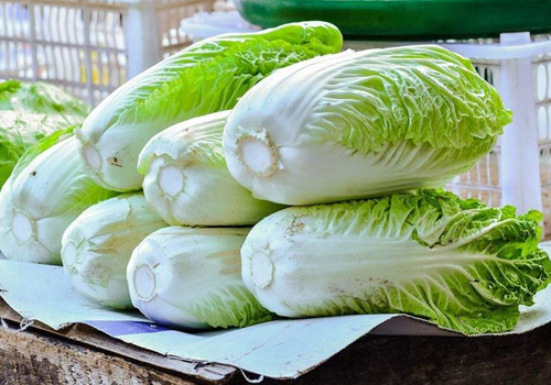 白菜可以放多久,白菜放冰箱还是常温