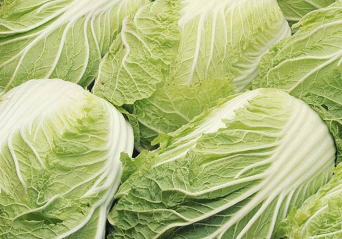 水煮白菜怎么做好吃又减肥,水煮白菜的蘸料怎么调