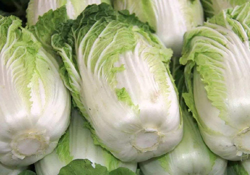 海带和白菜能一起吃吗,海带和白菜一起吃有什么好处