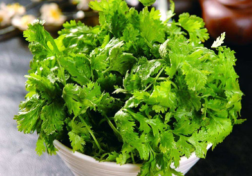 香菜怎么保存新鲜不烂,香菜放冰箱里冻了还能吃吗