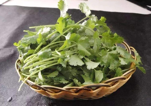 花椒和香菜能混在一起熬水喝吗,花椒香菜水的功效