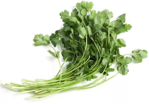 花椒和香菜能混在一起熬水喝吗,花椒香菜水的功效