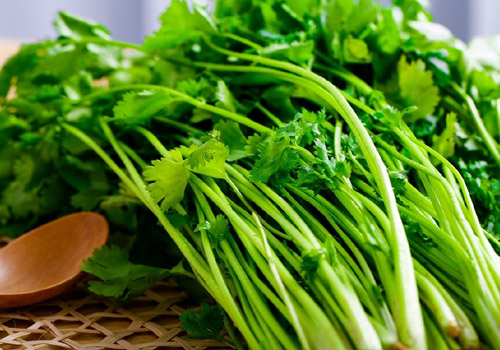 香菜含有什么成分,香菜的功效与作用