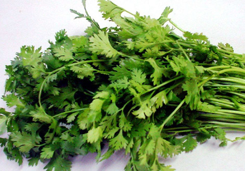 香菜含有什么成分,香菜的功效与作用