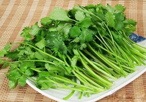 香菜有什么功效与作用,吃香菜有什么好处