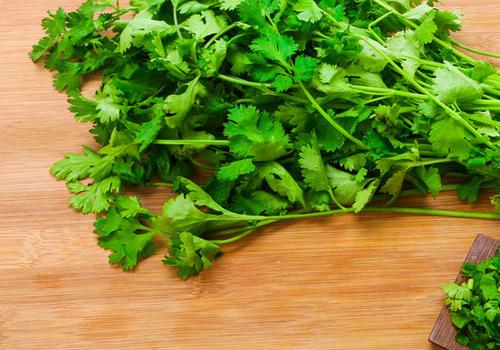 香菜能包饺子吗,香菜和猪肉能包饺子吗