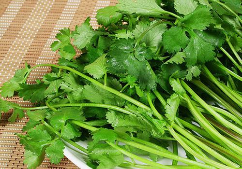 香菜和虾能一起吃吗,香菜和虾一起吃的好处